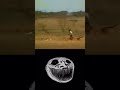 man runs faster than a cheetah
