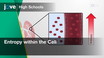 Entropy within the Cell | Cell Bio | Video Textbooks - Preview