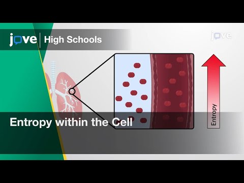 Entropy within the Cell | Cell Bio | Video Textbooks - Preview