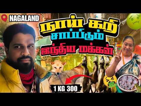 இந்தியாவில் அரிய சந்தை|நாய் இறைச்சி மார்க்கெட்|Dimapur|Nagaland 