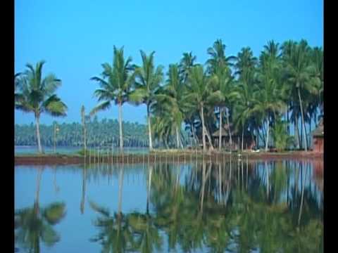Alappuzha : Honeymoon Destination, Kerala Backwaters - Alappuzha known as Venice of the East has several backwaters. Alappuzha holds a major percentage of Kerala natural beauty. Kerala Backwaters (especially Alappuzha) are world famous for its beauty and serenity. Vembanattu Kayal between Alappuzha and Kottayam Districts is the largest backwater in Kerala. The area surrounding this backwater is known as Kuttanad. Tourists from all over the world come here to see its natural beauty. Kerala is blessed with numerous rivers and backwaters as well as the long sea coast. The rivers and backwaters of Kerala are store houses for a variety of decorative fishes as well. The one of the main attractions of Kerala is the backwaters and its nearby areas. Besides paddy cultivation, one of the main sources of revenue for the people of this region is fishing. Pearls spots, Mullet, Prawns, Crabs etc are some of the tastiest varieties found in this area. Among these fishes, pearl spots are the most in demand and the costliest variety. Pearl spots from Kuttanad are quite well known for the foreign tourists as well. Prawns are the costliest and most exported variety of fishes in Kerala. For this reason prawns are the favorite variety in commercial aqua culture. There are several fish farms in Kerala both privately owned and government owned. Those engaged in small scale fish farming can obtain their requirement of sea fish from these government farms.