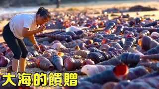 After the typhoon, the snails were spread all over the beach. I couldn't finish picking up hundreds