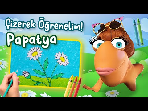 ÇİZEREK ÖĞRENELİM | PAPATYA