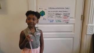 Skylar's Animal Classification Project - Peacock