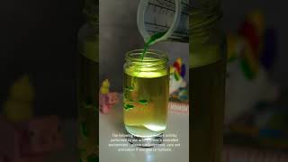 Make a Toy Green Living Light! 💚✨ Say Goodbye to Nightmares! #art #diy #kids