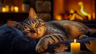 12 Hours of Cat Music 😸 Gentle Music for Cats with Stress Relief 🎶 Warm Home Ambience for Relaxation