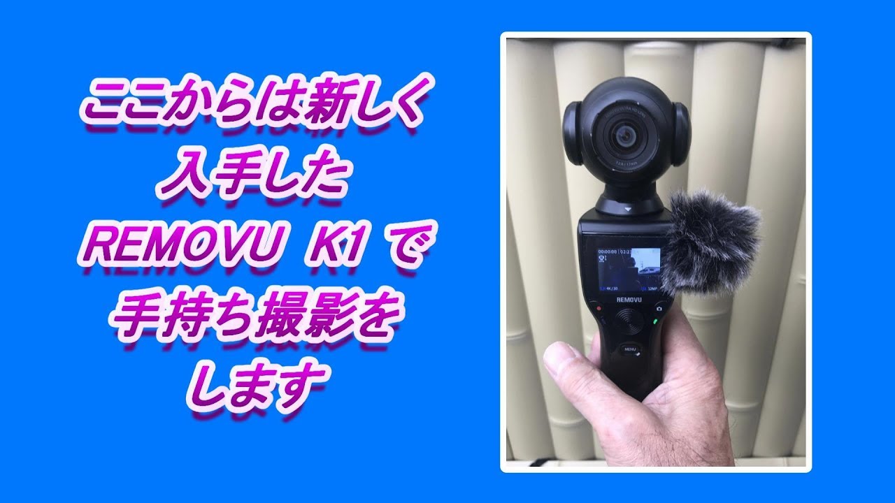 街路樹のツツジ REMOVU RM-K1 & GoPro HIRO6