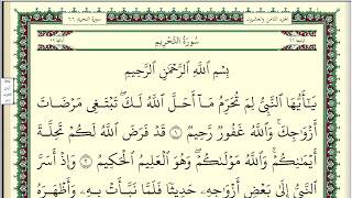 ابو بكر الشاطري سورة التحريم مكتوبة