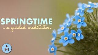 SPRINGTIME Guided Meditation 🌸🌱 Spring Awakening Guided Imagery (SPOKEN) by MeditationRelaxClub - Sleep Music & Mindfulness 793 views 1 month ago 12 minutes, 39 seconds