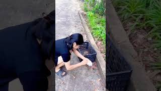 Poor abandoned kitten #shorts #funny #cat