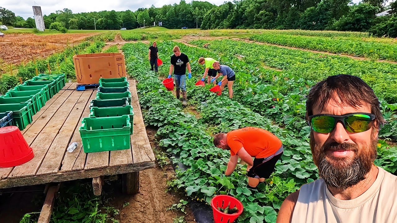 Another New Harvest on the Farm + Meet the Crew