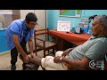 Taking Care of Your Feet (Spanish) - Diabetes Series