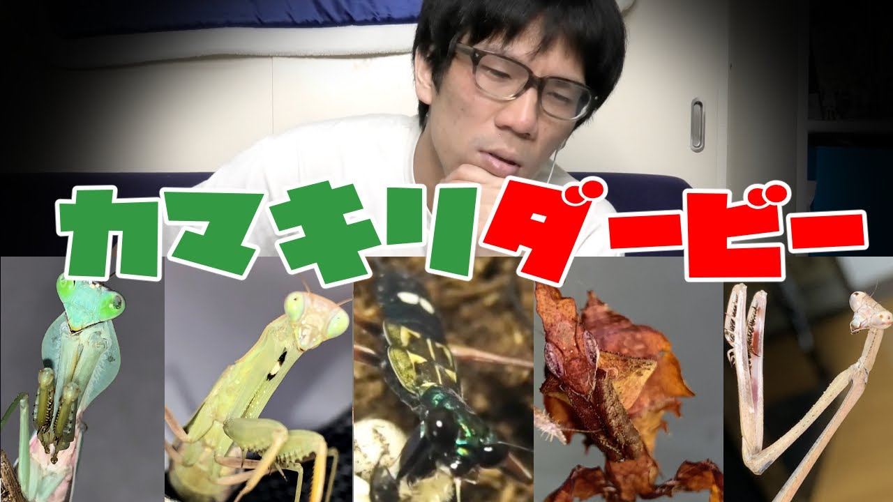 競馬に人生賭けた男が究極の昆虫レースに挑戦した結果