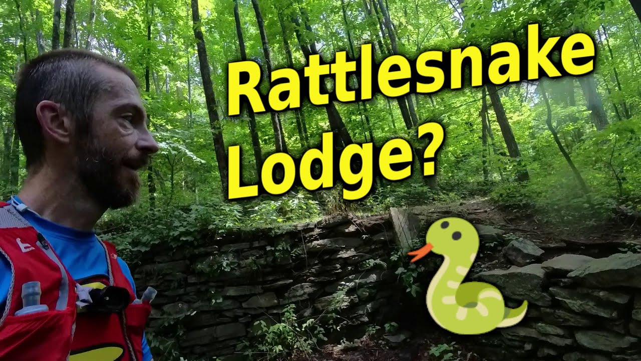 MST Trail Run near Asheville - Folk Art Center to Rattlesnake Lodge