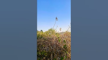 القارىء الشيخ سعد الغامدي أستمع للقرآن الكريم ثواني تلاوة مباركة