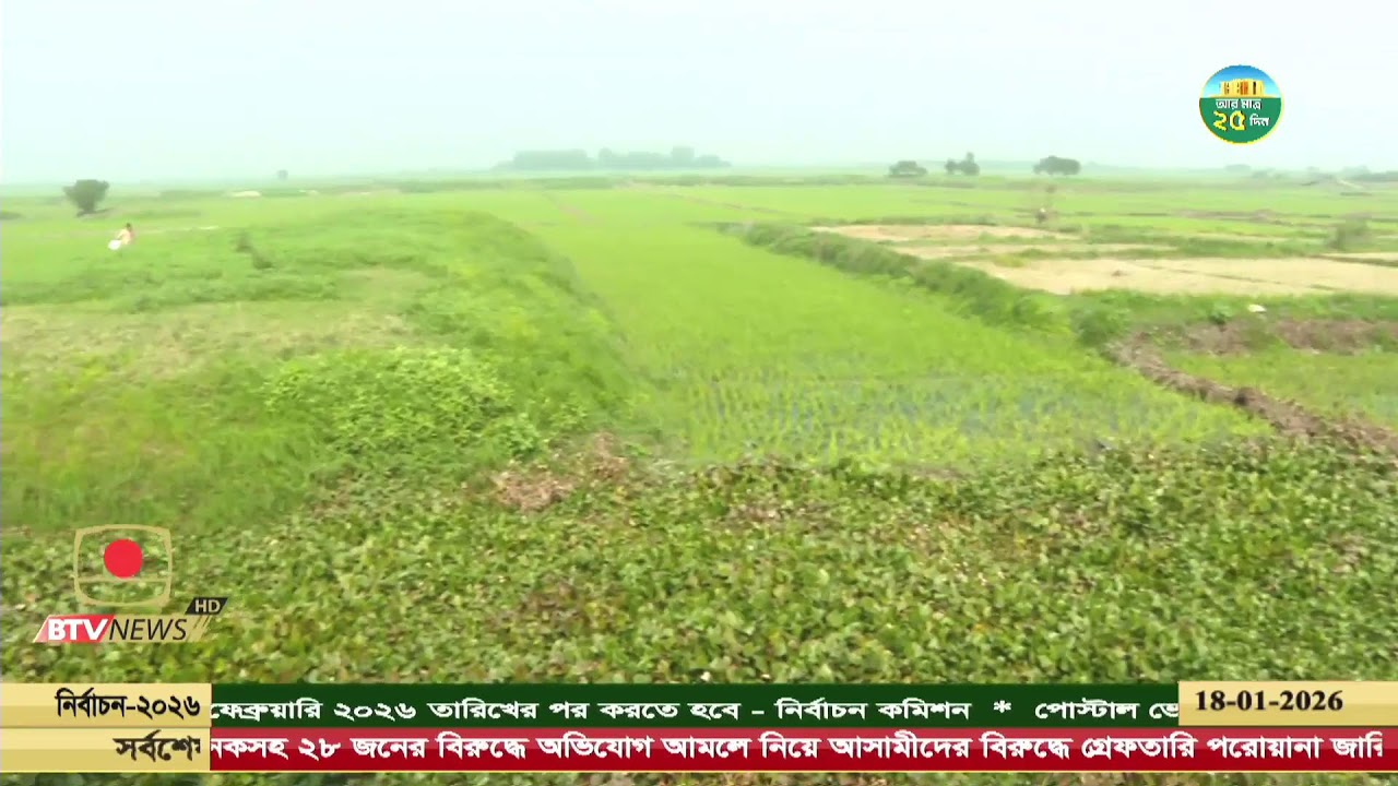 দুপুর ২টার সংবাদ- ১৮ জানুয়ারি, ২০২৬