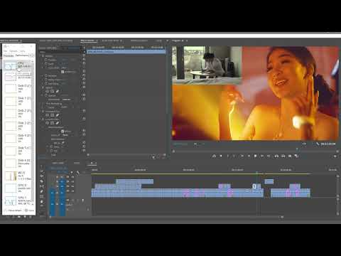 Premiere Pro realtime playback performance issues