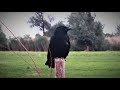 VR180 Crows eating peanuts in the park