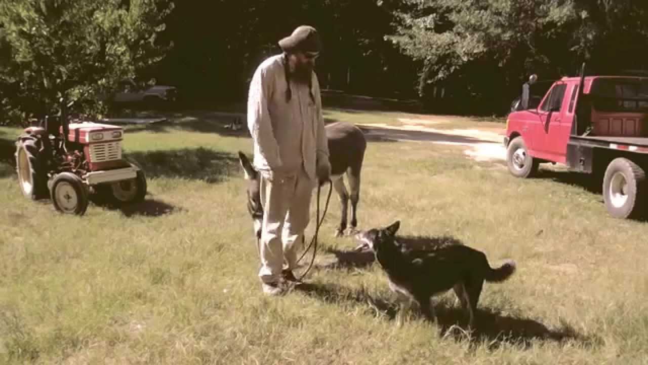 The Brokeoffs - Love Me Or Hate Me (Lady Sovereign cover) Explicit