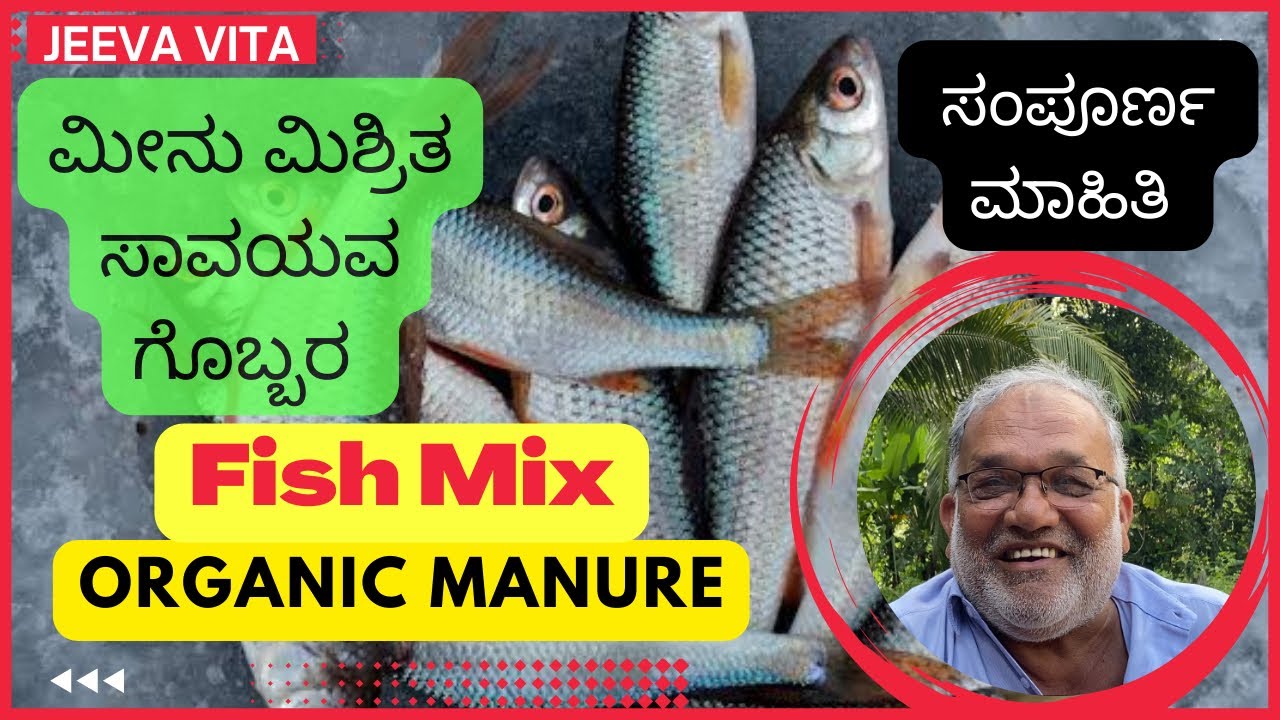 Fish Mix Organic Manure | ಮೀನು ಮಿಶ್ರಿತ ಸಾವಯವ ಗೊಬ್ಬರದ ಸಂಪೂರ್ಣ ಮಾಹಿತಿ | Fish Compost || JEEVA VITA