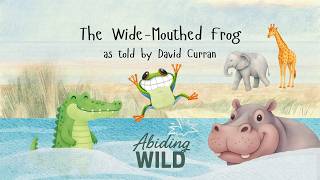 The Wide-Mouthed Frog as told by David Curran
