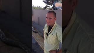 Famous 16-foot python measured and weighed in Naples Net Worth