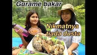 Mukbang ikan gurame bakar di hutan pinus