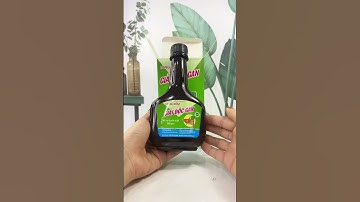 DƯỢC BÌNH ĐÔNG | LONG ĐỞM GIẢI ĐỘC GAN BÌNH ĐÔNG - THANH NHIỆT,GIẢI ĐỘC, MÁT GAN, TĂNG CHỨC NĂNG GAN