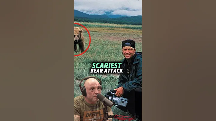 The Biggest Bear - Joe Rogan #joerogan #jre #jreclips