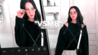 Vsmb Tutorial  Pause To Read  tutorial edit motionblur tutorials