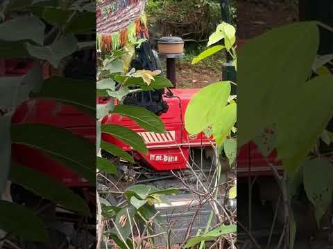 Mini vlogs