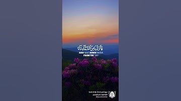 #تلاوة من #سورة_الحجر بصوت #ياسر_الدوسري #قرآن #قرآن_كريم #آيات #quran
