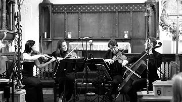 Complete Haydn Quartet in D Major Op. 20 No. 4, Badke Quartet