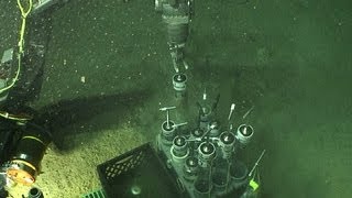 Scientists get first look at seabed near B.P. oil spill site