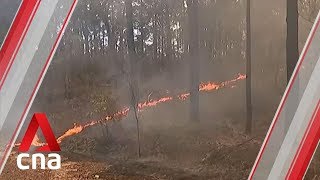 Heavy winds, lightning heighten bushfire threat in Australia