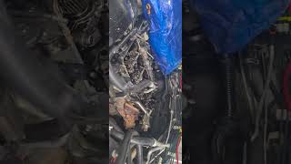cct turbo stage 1 highflow zd30crd 450ks and seized, blown motor,under warranty refusing a refund