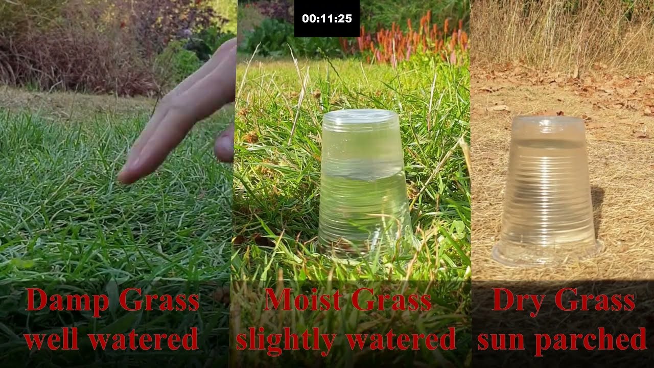 Why heavy rain might be dangerous after drought