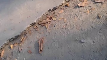 Công viên nưởc Củ Chi- Mùng  2 tểt