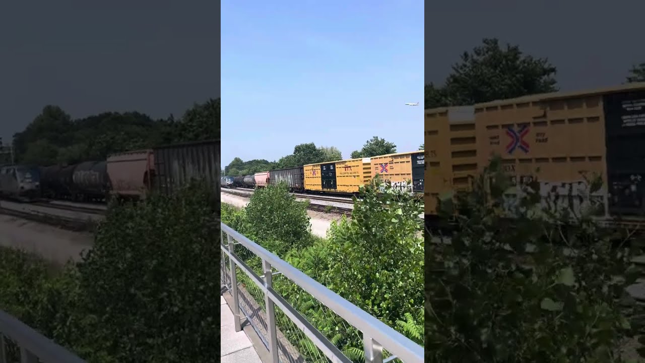 CSX 863 and AMTK 837 lead trains at long bridge park Arlington Virginia.