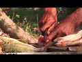 Pescado frito y chupín de pescado en Romang - Parte del Plato