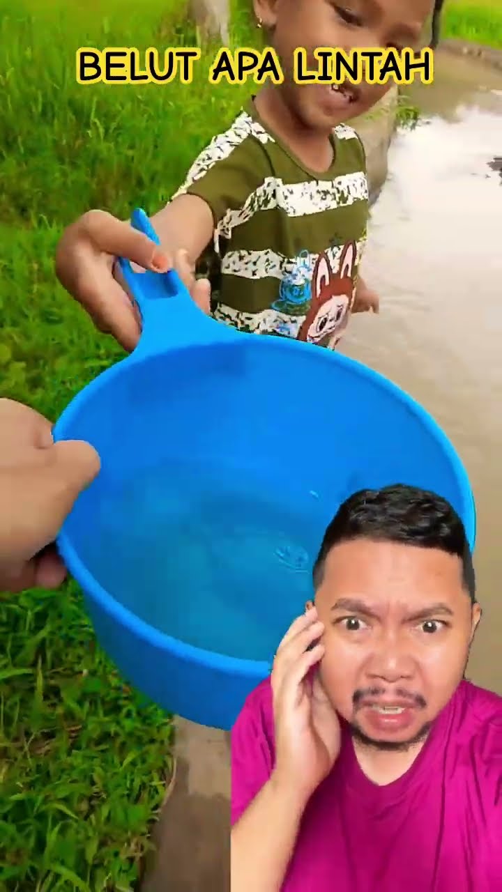 KESAWAH CARI BELUT DAPAT LINTAH!!!??#shorts #shortsvideo #shortsfeed