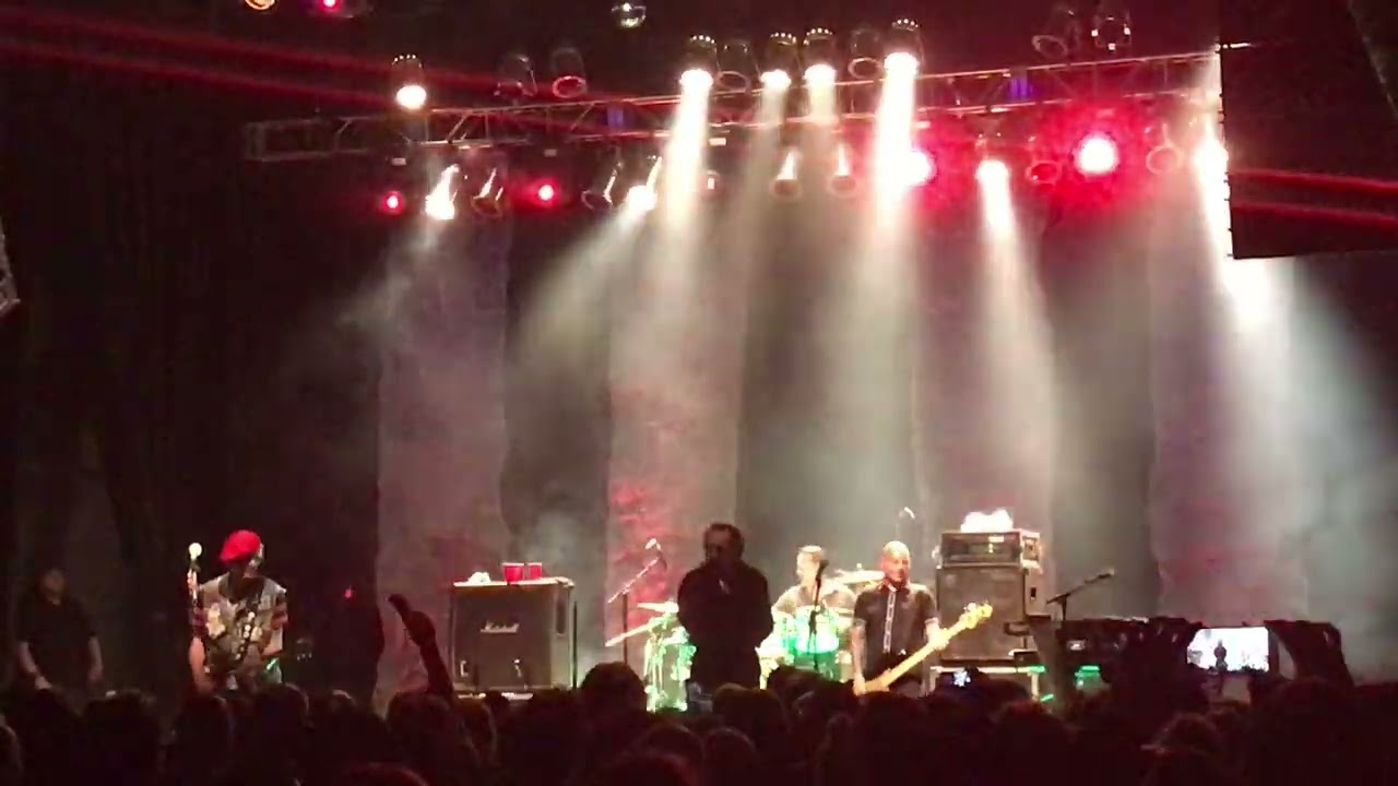 The Damned