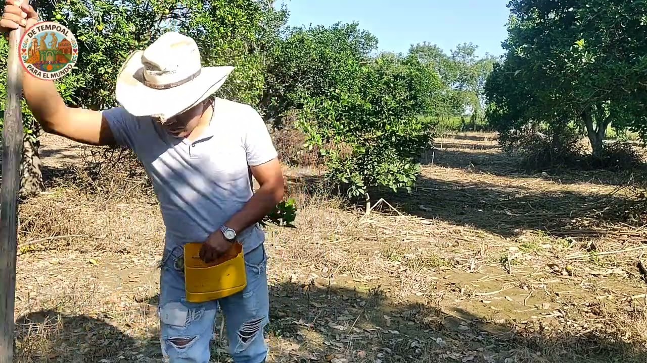 Recuerdan cuando iban a sembrar maiz 🌽 , frijol 