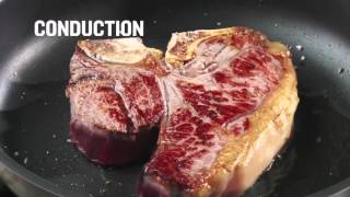 OpenStax AP Physics Chapter 12: Heat Transfer (Physics Concept Trailer™)