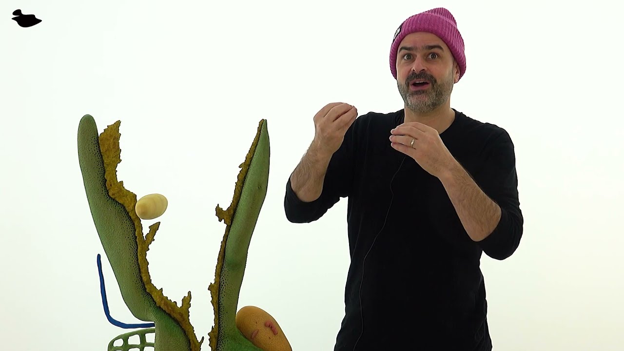 매튜 로네이(Matthew Ronay) | 예술작업의 영감의 원천