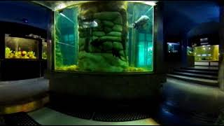 Wunder360-C1 - Immersive Aquarium View screenshot 5