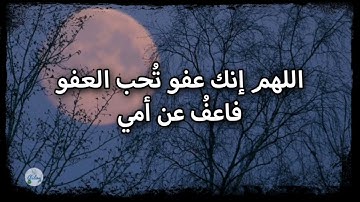 سورة العنكبوت من الآية ٥١ إلى الآية ٦٠