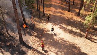 Think Like a Fire Scientist: Observing a Prescribed Burn