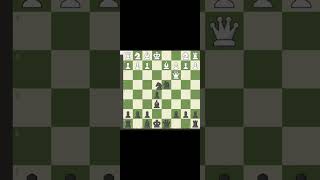 Wayward Queen: Kiddie counter Gambit #chess #chessgame