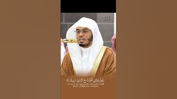 يا ويلتى ليتني لم أتخذ فلانا خليلا~تلاوة تفوق الوصف🖤 #ياسر_الدوسري